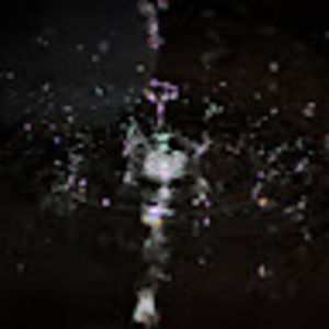 Meet your Posher, Eden